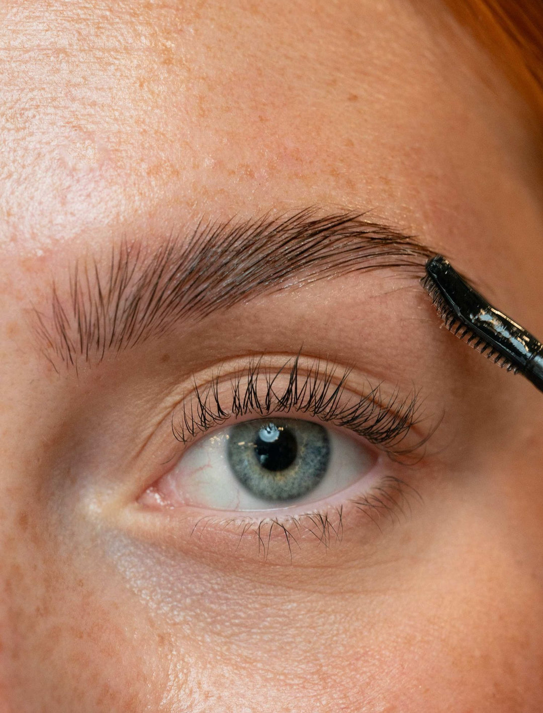 The brow wax